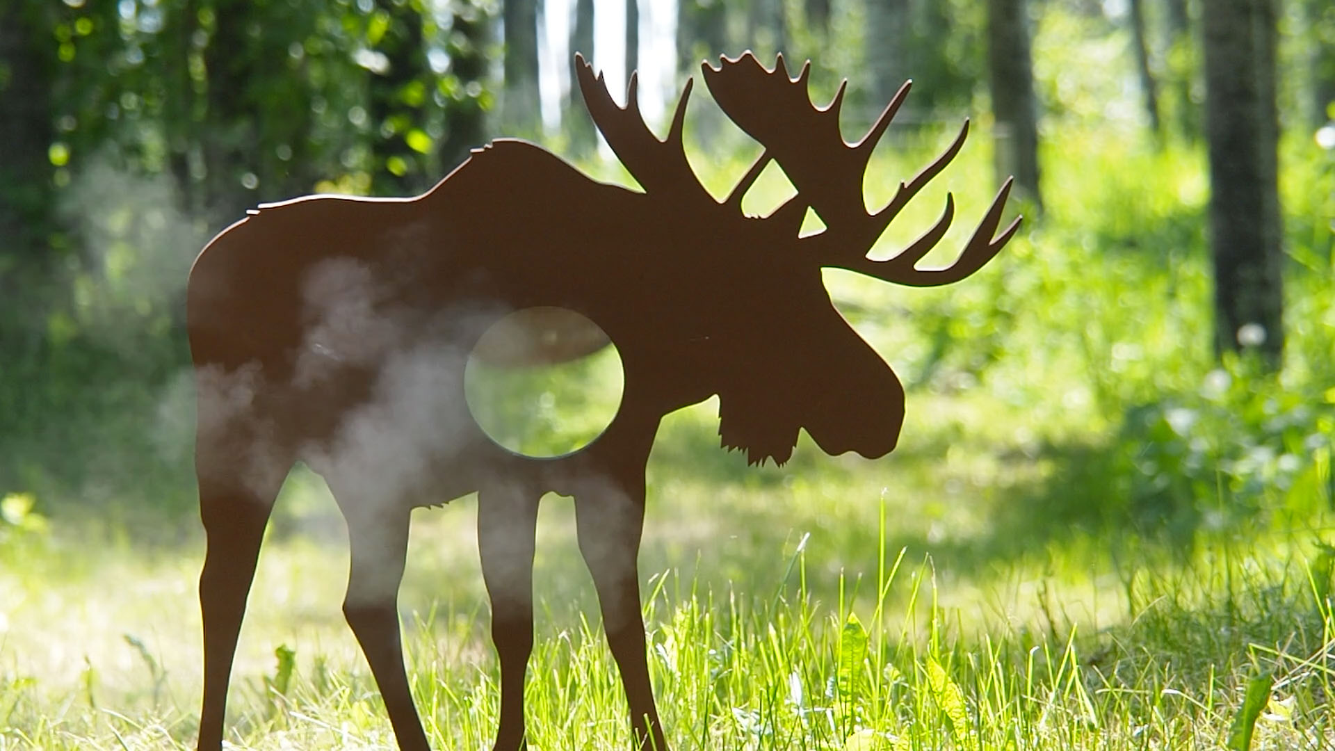 moose_b.jpg