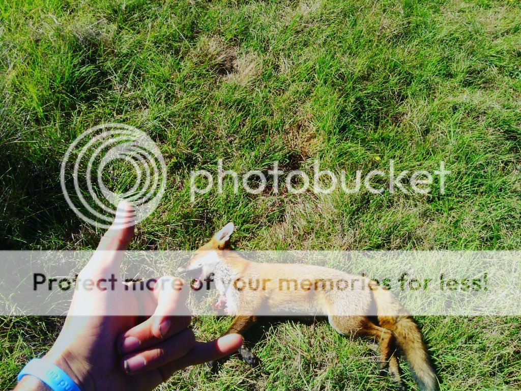 IMG_20160228_101824.jpg~original