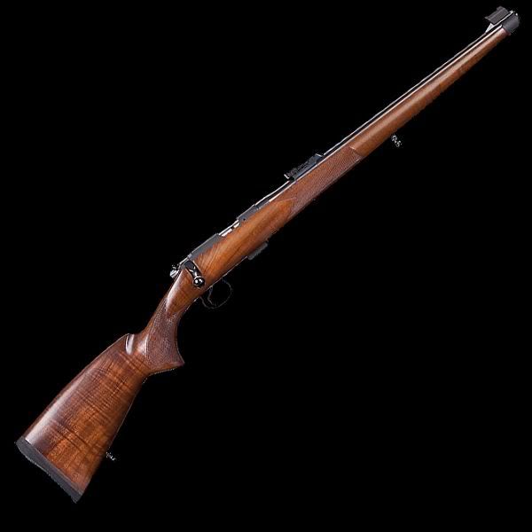 CZ-452FS-600.jpg