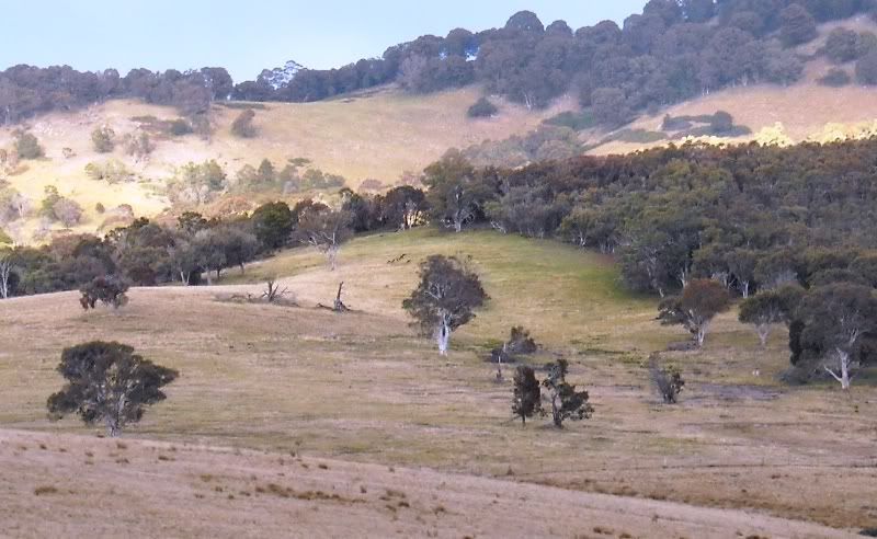 Deerhunt_23-6-2012_003.jpg
