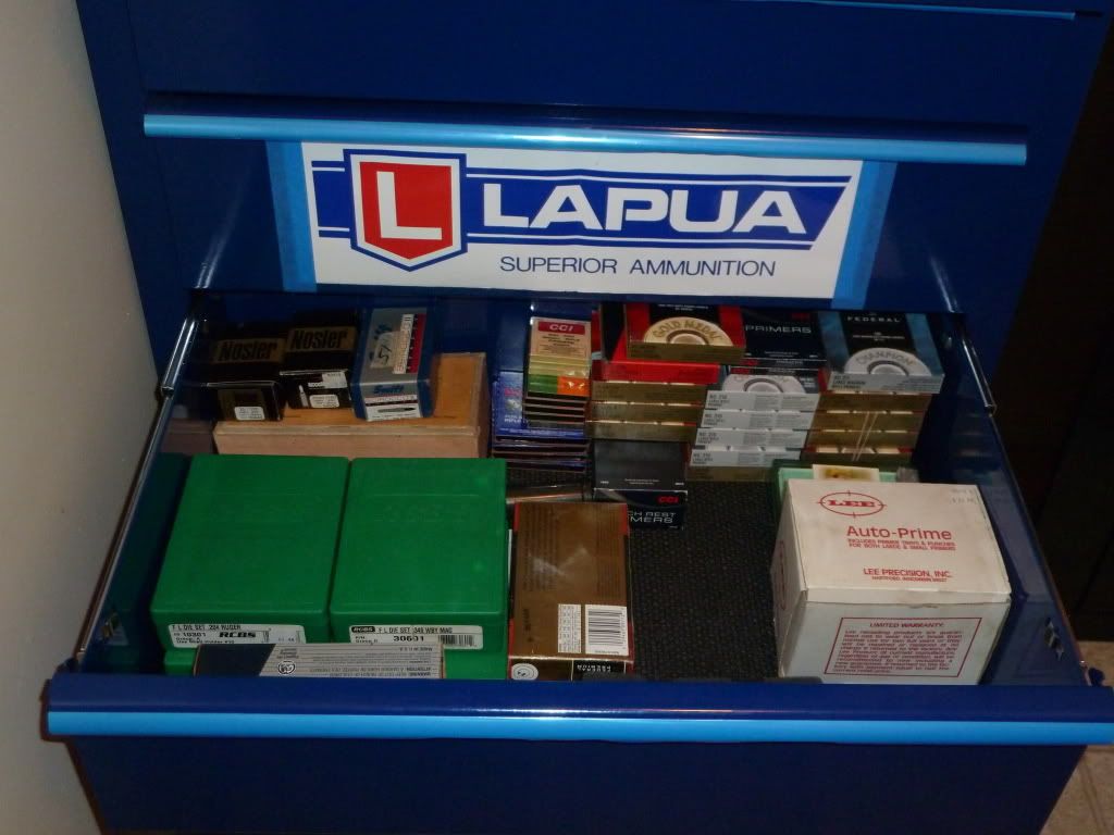P1000077.jpg