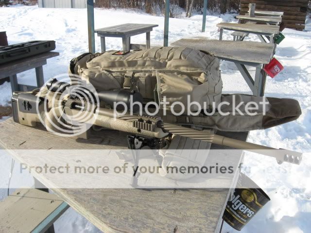 coyote275.jpg