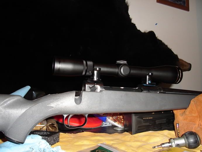 stevens002.jpg