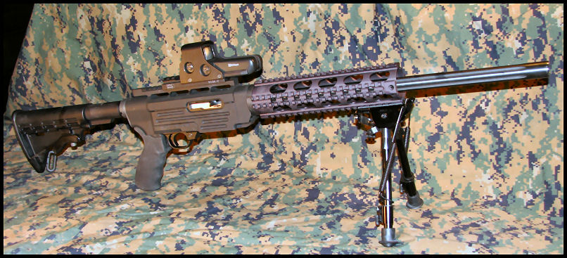 AR-10-22.jpg
