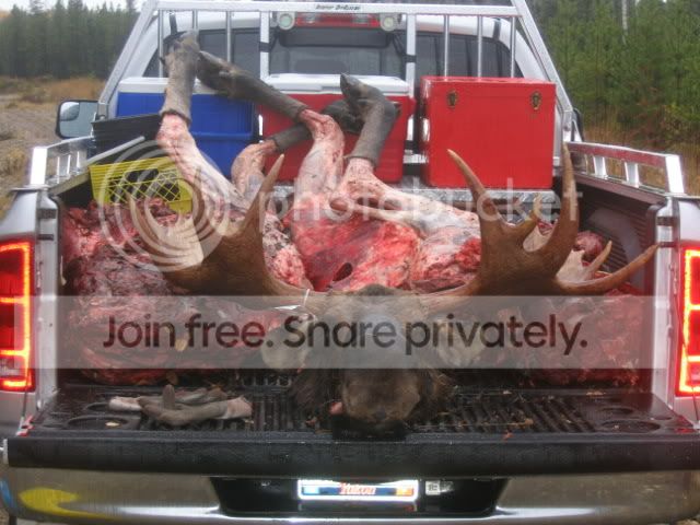 Truckload-O-Meat1.jpg