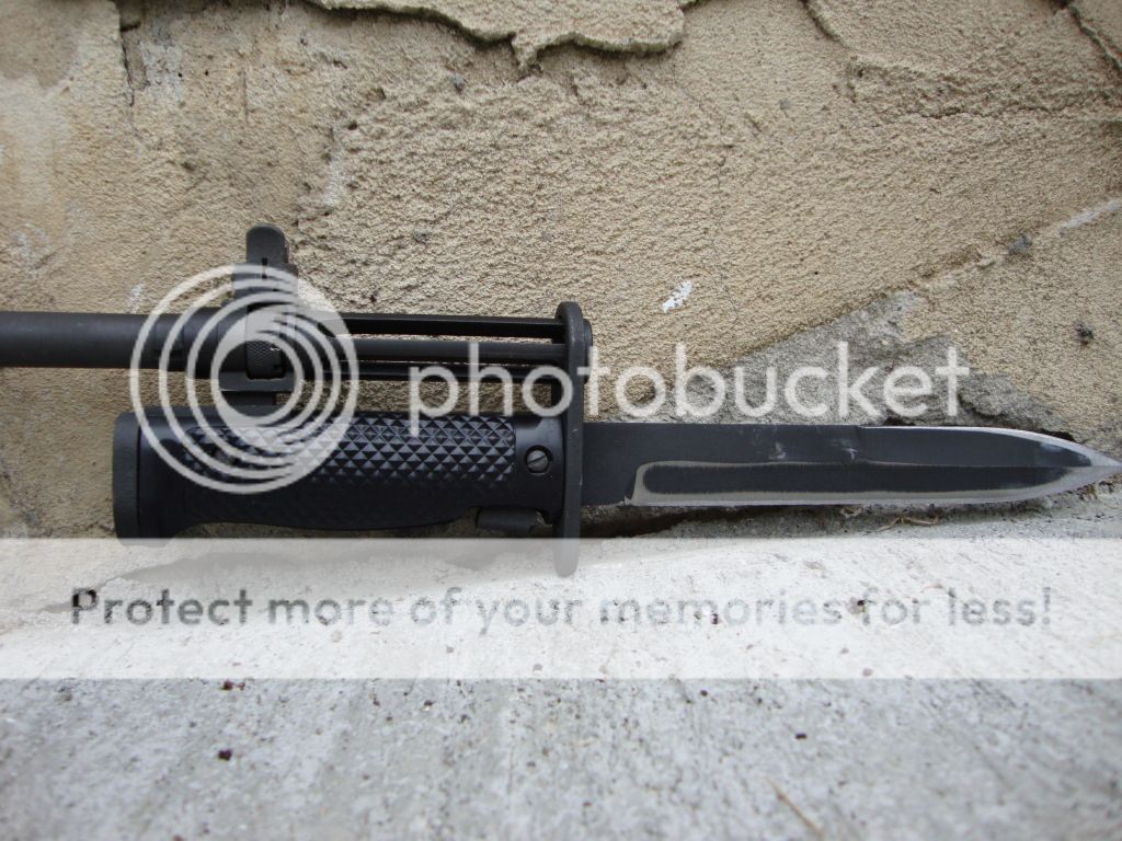 DSC01600.jpg