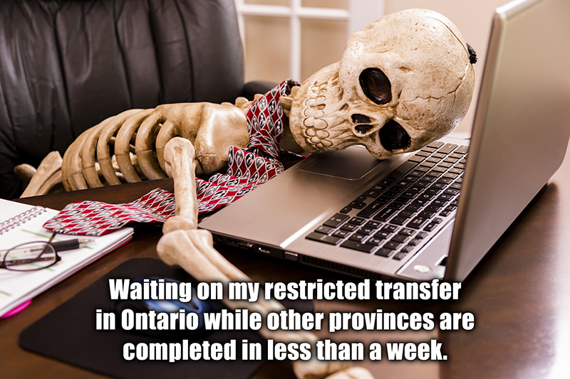 Transfer.jpg
