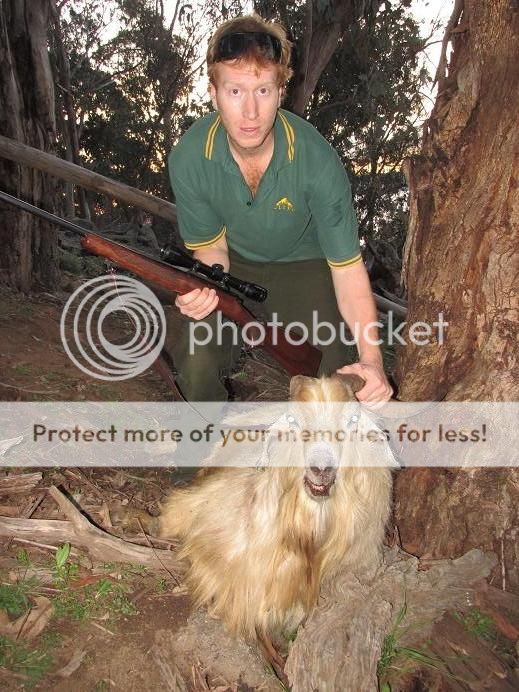 nedonehorn.jpg~original