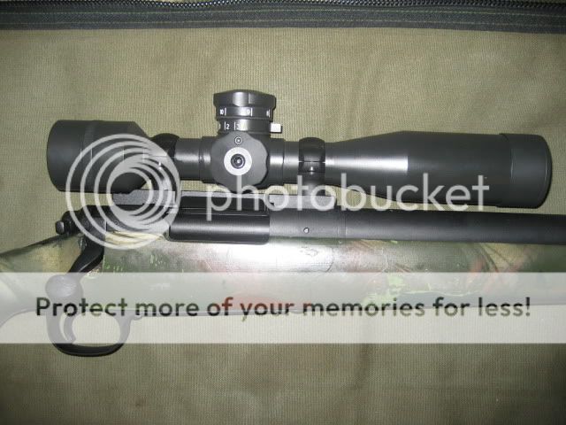 MST-100003.jpg