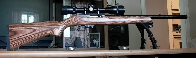 ruger1022-1.jpg