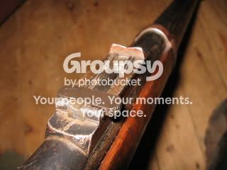 IMG_3753.jpg
