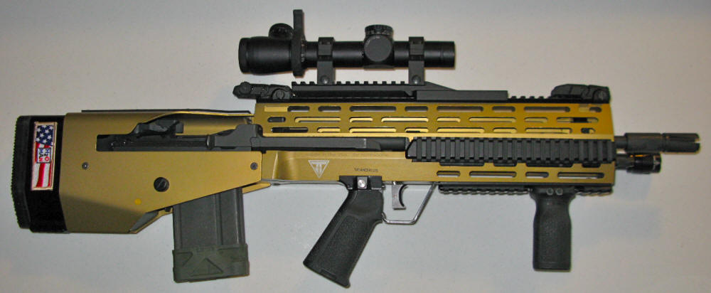 Rogue0121-a.JPG