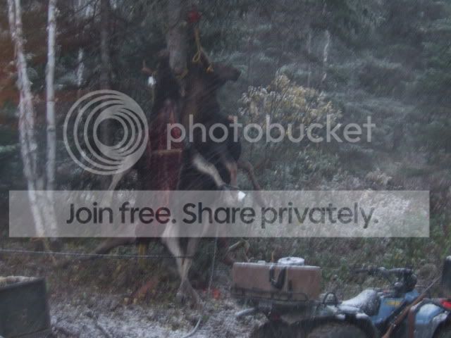 DSCF3342.jpg