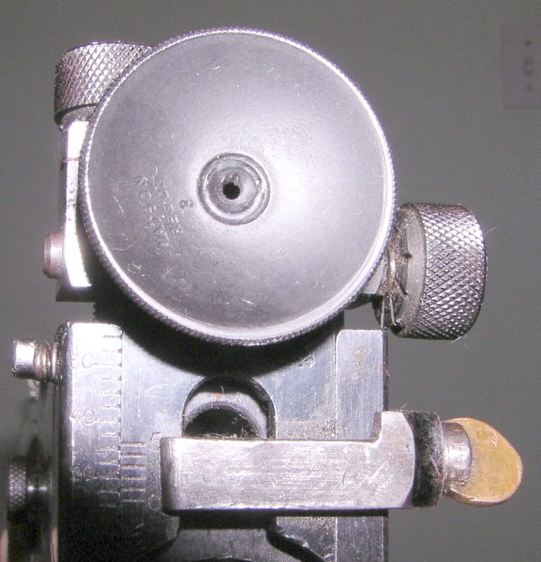 P1010043-1.jpg