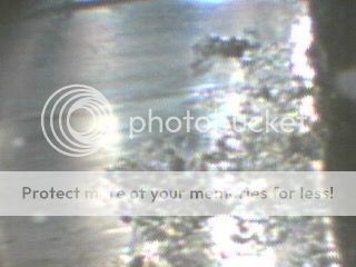 IMG_0901_zpsp4plk67q.jpg