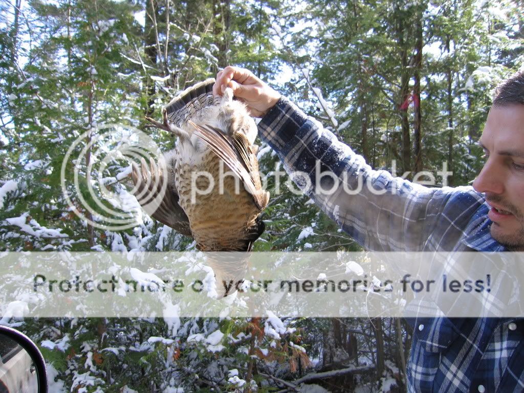PartridgeHuntin08019.jpg
