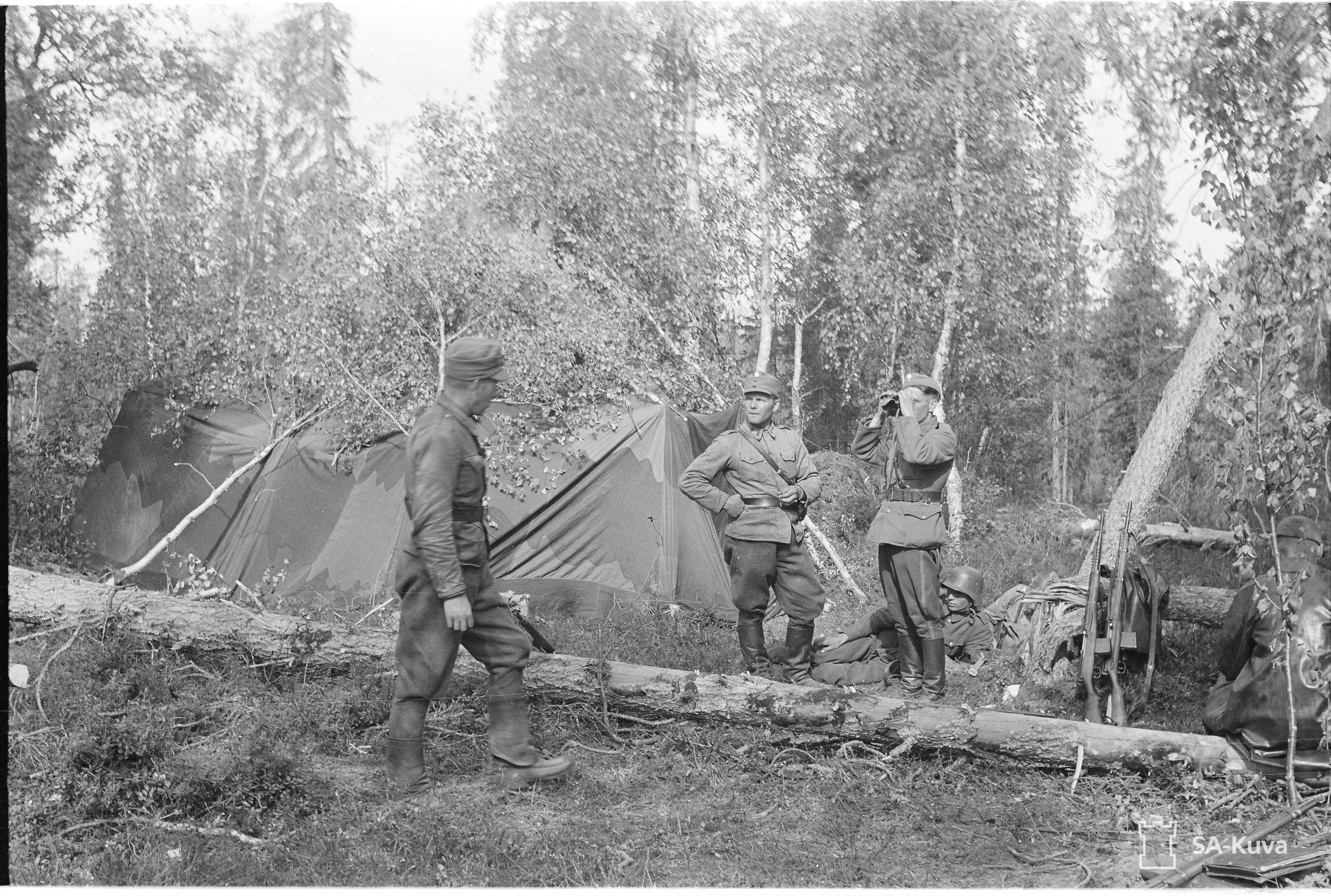 FZWoipi.jpg