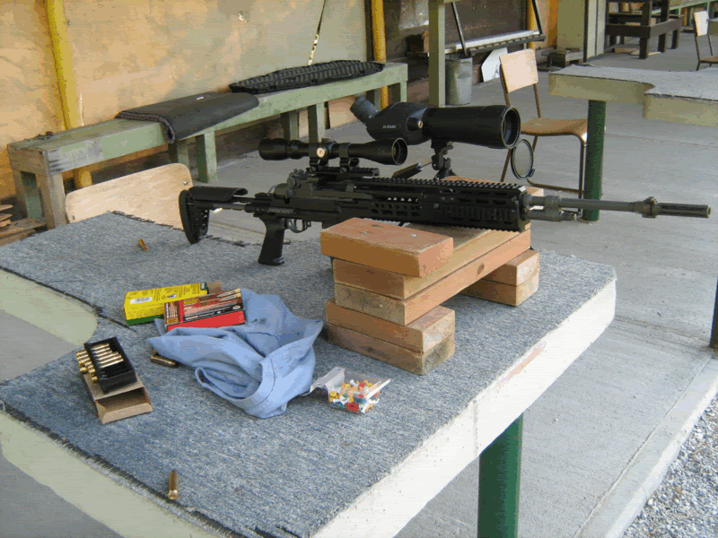 M14inSAGE.gif