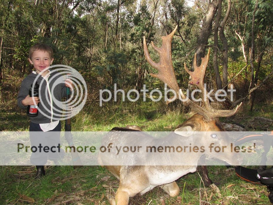 IMG_0882apr21ry.jpg~original