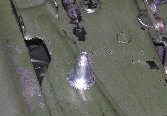 lav031.jpg