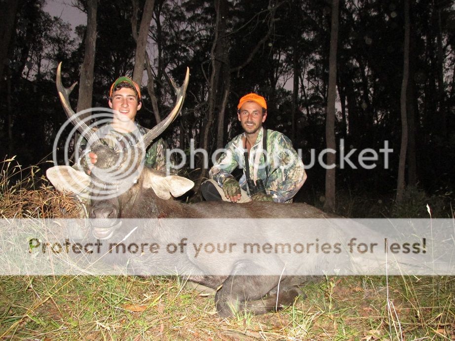 IMG_0493HilldogDylan23.jpg~original