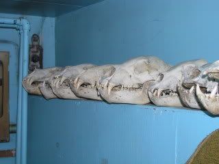 April2009131.jpg