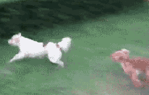 01.03_Funny_Gifs_15.gif