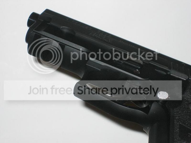 SIG15.jpg