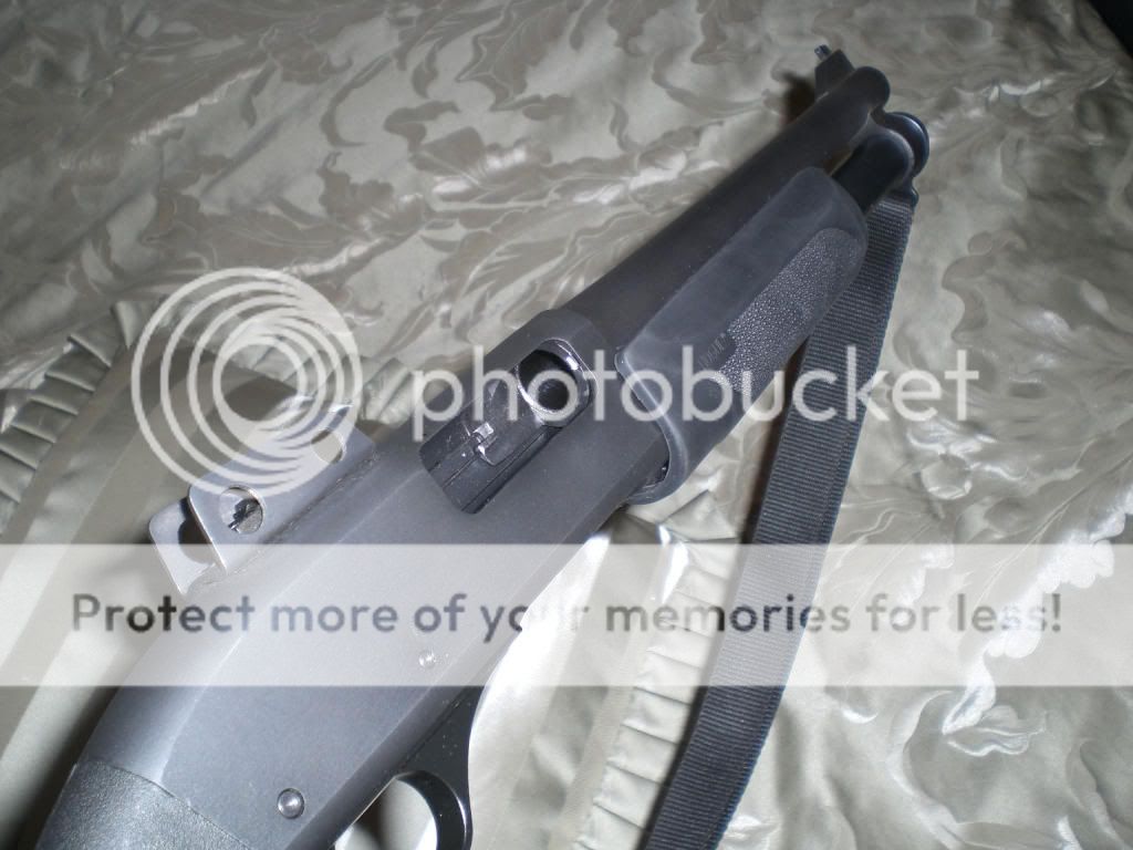 CIMG0455.jpg