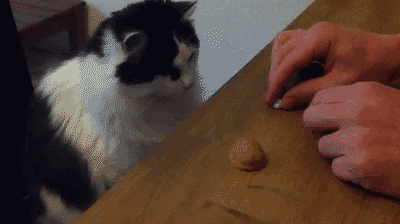 UqNsq.gif