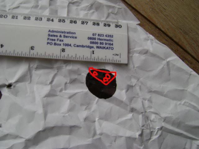 DSC00360-marked.jpg