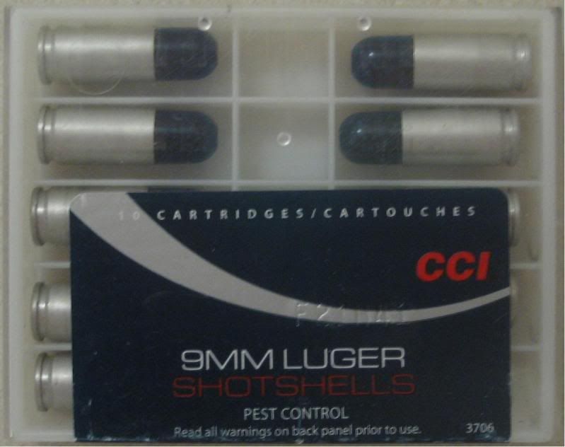 am4.jpg