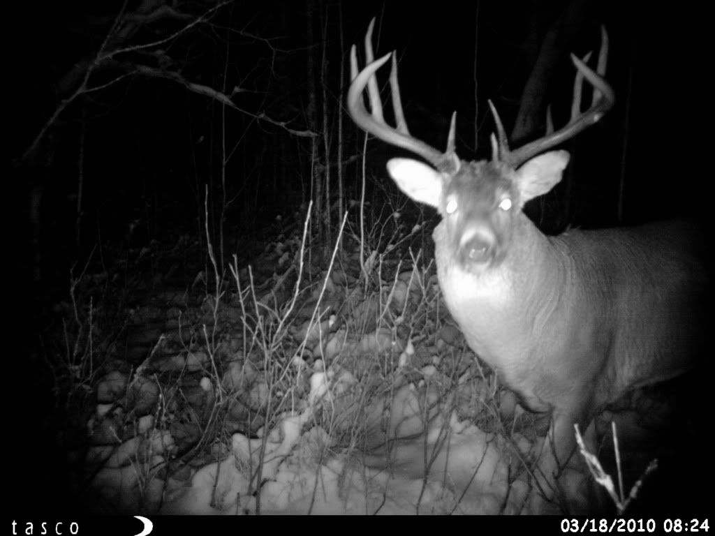 HUNT0004.jpg