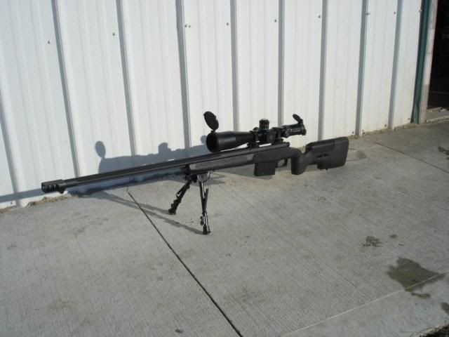 217.jpg