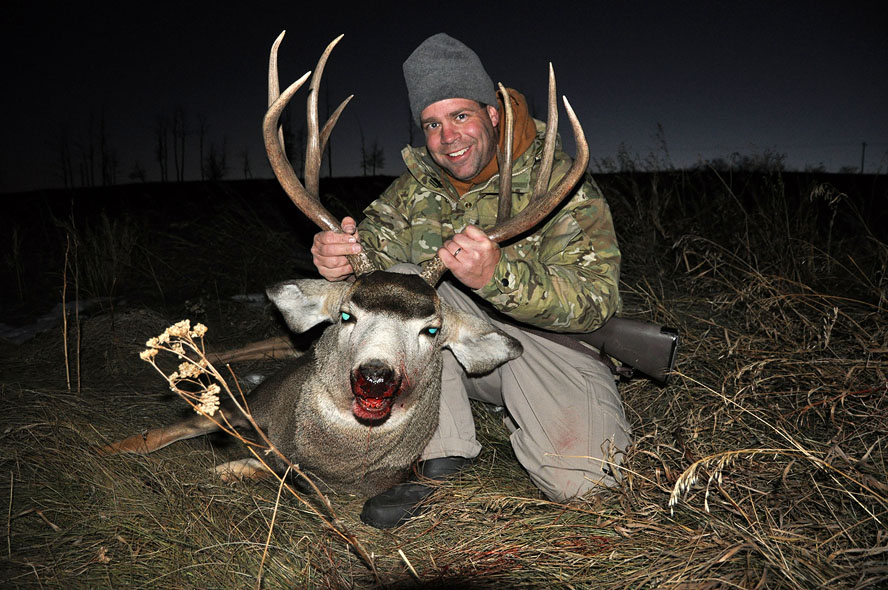 2009_mule_deer_buck_d_medium.jpg