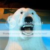 Examplesofawfultaxidermy_6n.jpg