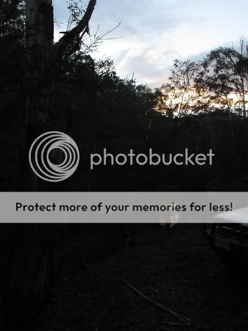 IMG_0979gattacamp.jpg~original