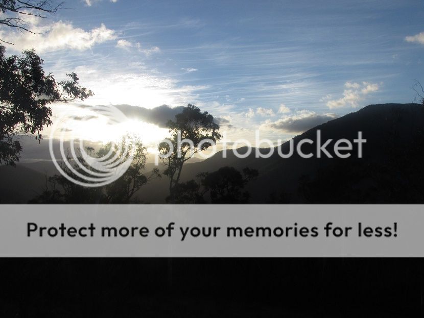 IMG_3289conglomerate.jpg~original