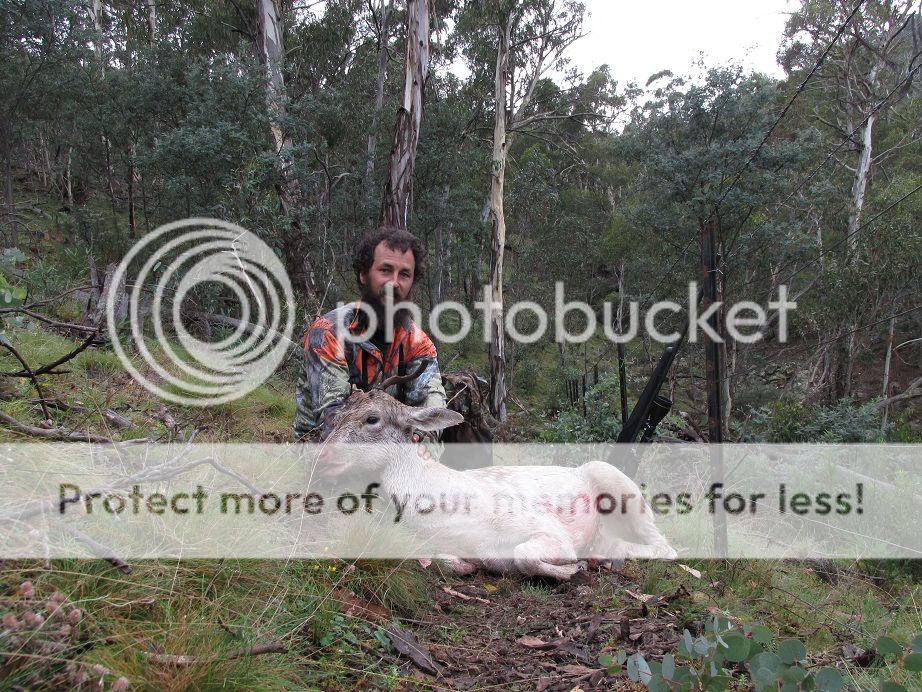 IMG_2224whitespike.jpg~original