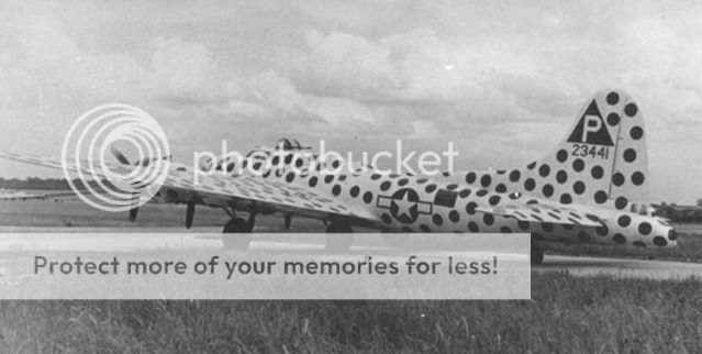 B17-F384thBG-Spotted-Cow.jpg