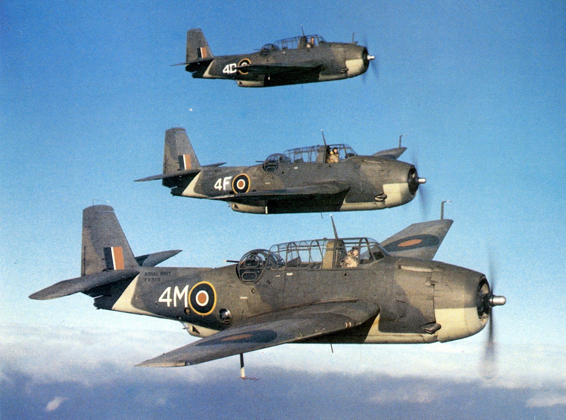faa-tbf-color-01-jpg.156923