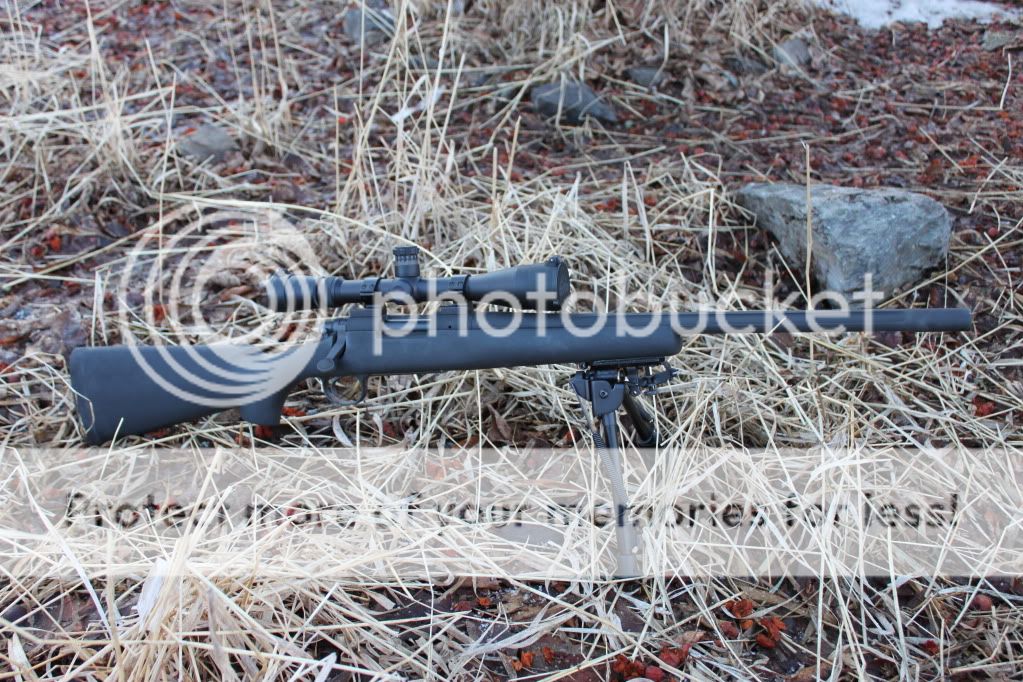 IMG_4613.jpg