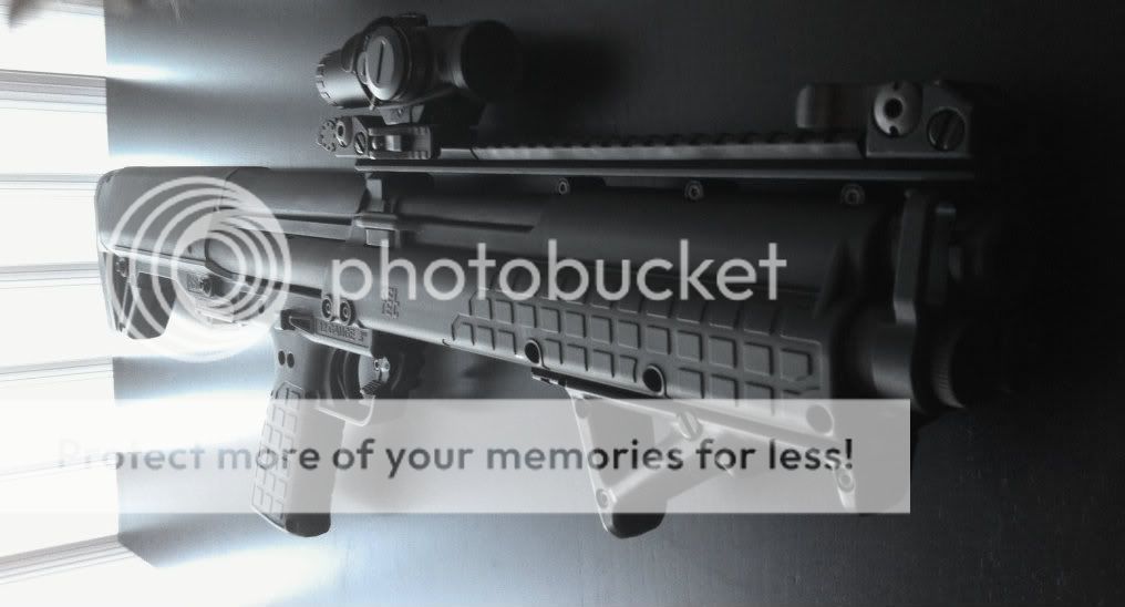 pics010.jpg
