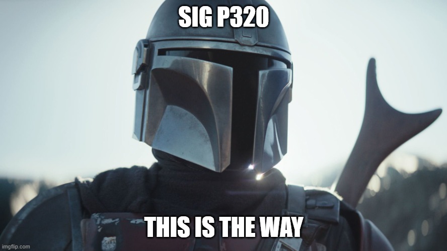 6wdxq5.jpg