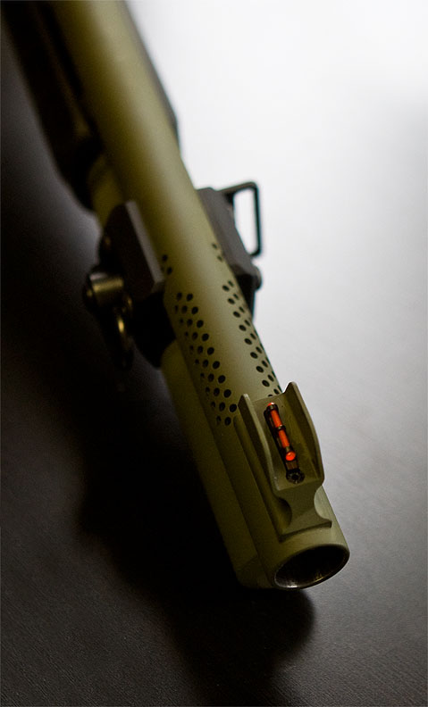shot2.jpg