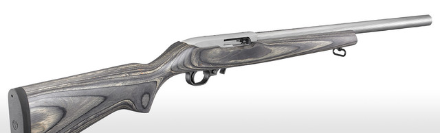 Ruger10-22-grey.jpg