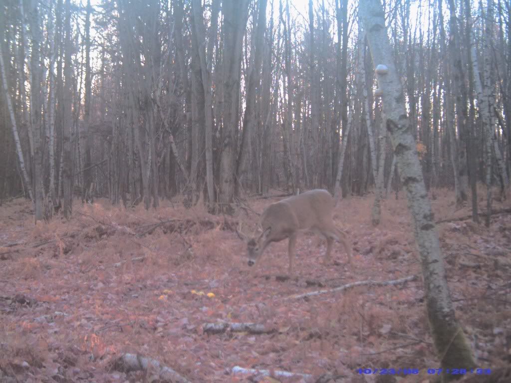 PIC_0221.jpg