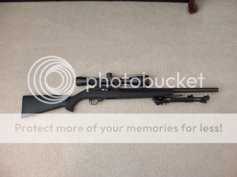 ruger1022001Copy.jpg