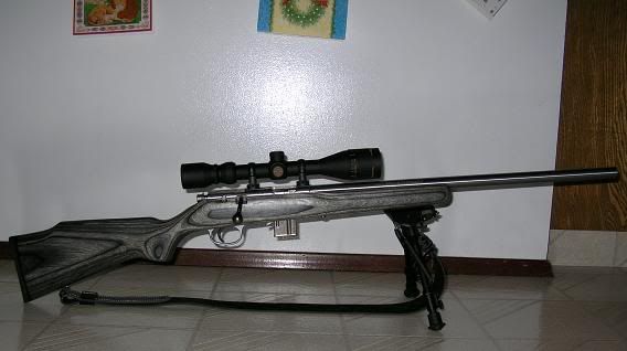 gun1.jpg