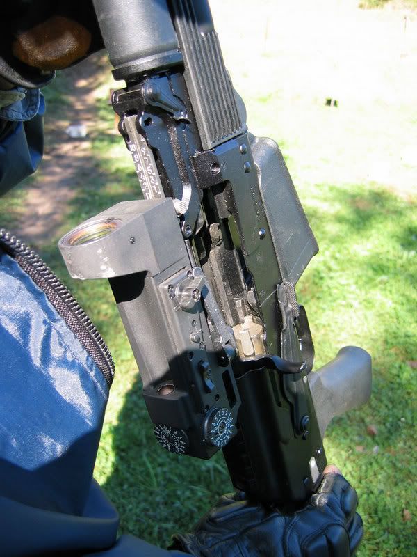 saiga-2.jpg